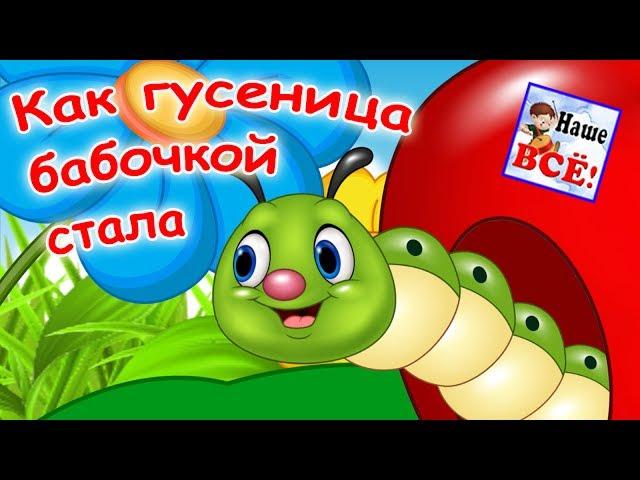 How the caterpillar became a butterfly. Cartoon song for kids. Nursery rhymes. Nashe vse!