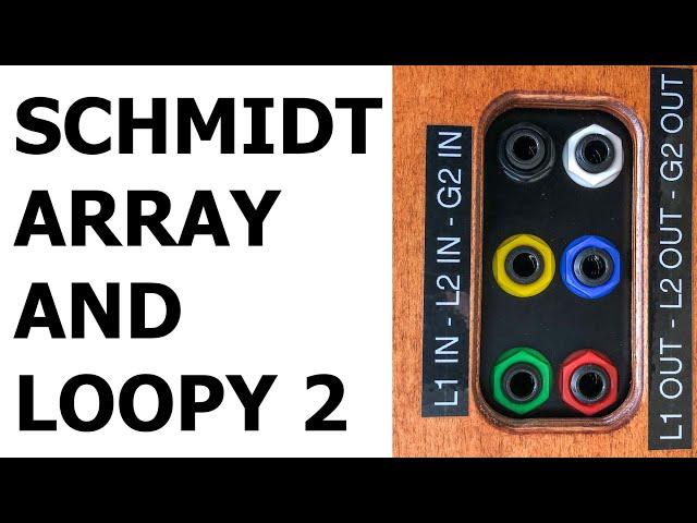 Schmidt Array Patchbay And GigRig Remote Loopy 2