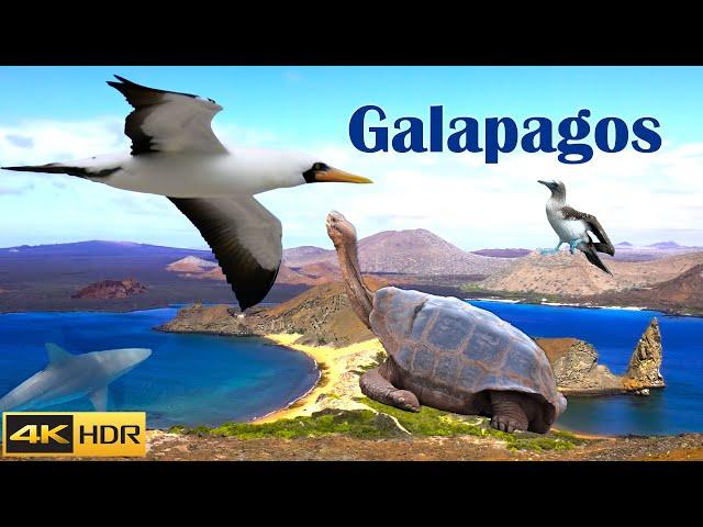 Galapagos August 2022 (4K HDR)