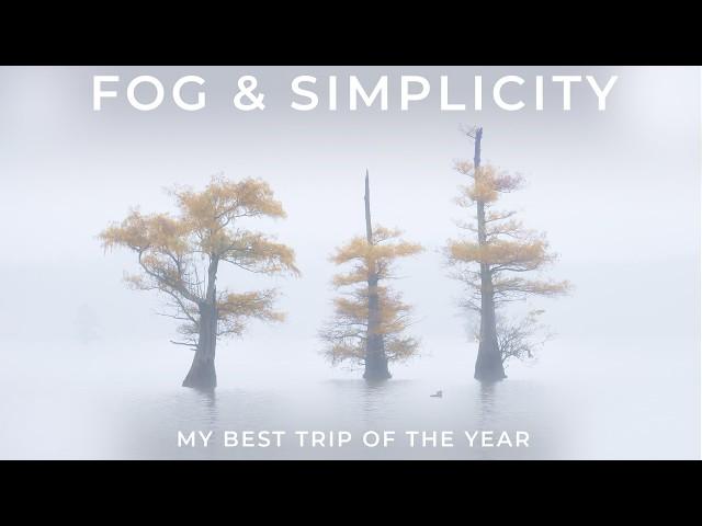 Chasing the Mist: Mastering Light & Composition in the Cypress Swamps