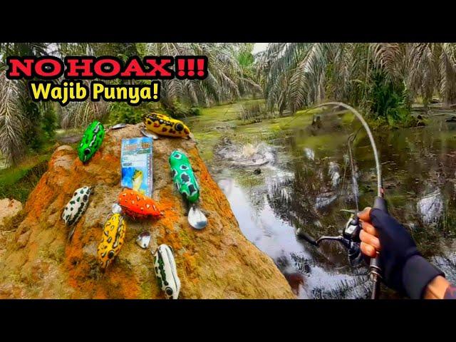 NO HOAX ‼ MANCING CASTING IKAN GABUS DENGAN UMPAN SOFT FROG ANNUR LURE || Killer Luar Biasa #AS-163