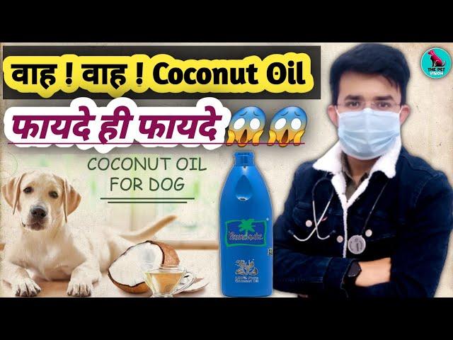 वाह ! वाह ! Coconut Oil For Dogs | Shocking Result | Best Natural Product जो कभी धोखा नहीं देगा 