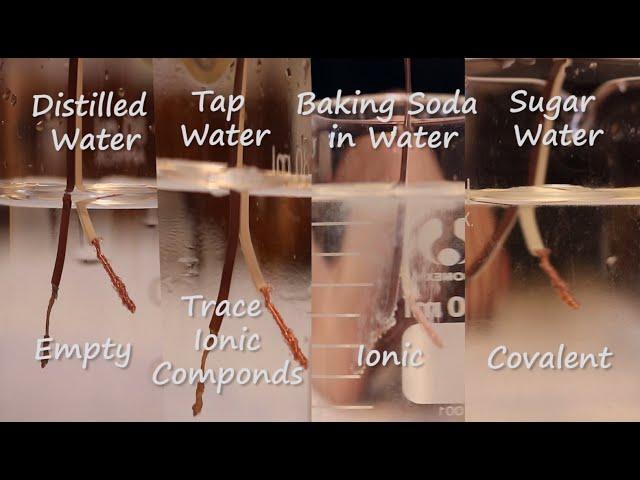 Testing the Electrical Conductivity Of Water | Science Experiment