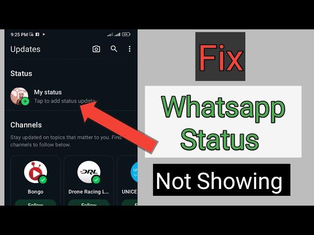 How to fix Whatsapp status not showing