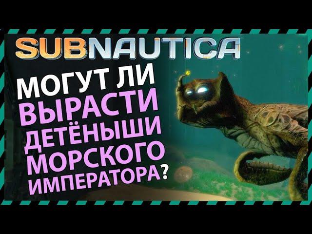 Subnautica МОГУТ ЛИ ВЫРАСТИ ДЕТЕНЫШИ МОРСКОГО ИМПЕРАТОРА?