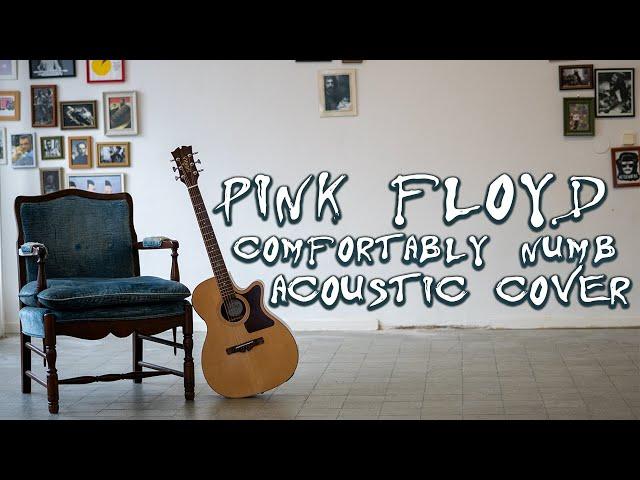 Comfortably Numb - Acoustic Cover | Vedran Covers