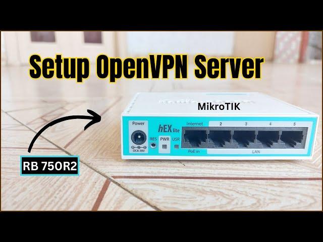 RouterOS 7 - How to Setup OpenVPN Server in MikroTik (2024)