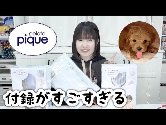 セブンで買える!? ジェラートピケ x ペットの付録が最高すぎる。