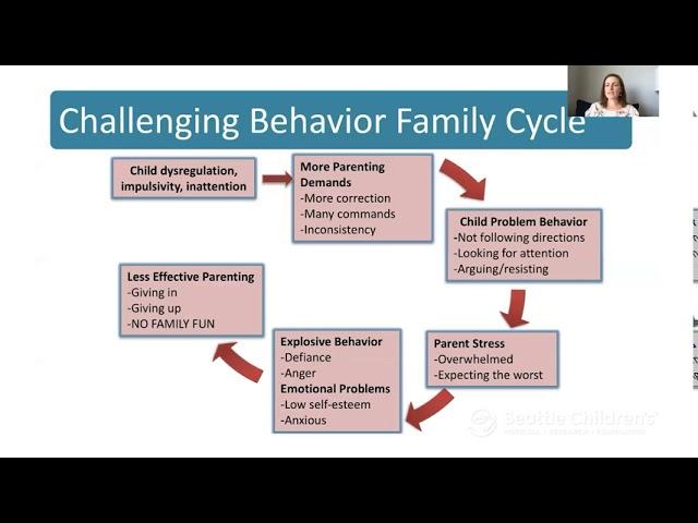 Challenging Child Behaviors and the Family Cycle