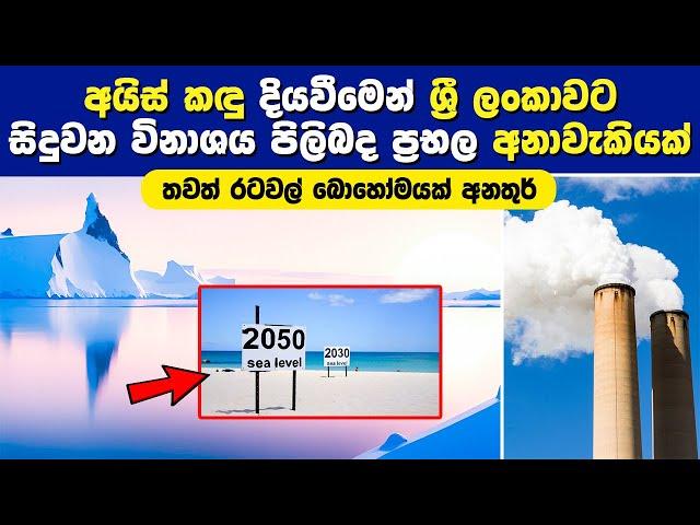 අයිස් කඳු දියවීමෙන් ශ්‍රී ලංකාවට සිදුවන විනාශය පිලිබද ප්‍රභල අනාවැකියක් #globalwarming #icemelting