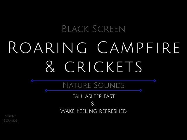 10 Hours - Campfire and Crickets - Campfire Sounds - Crickets for Sleeping - Fire Sounds - Crickets