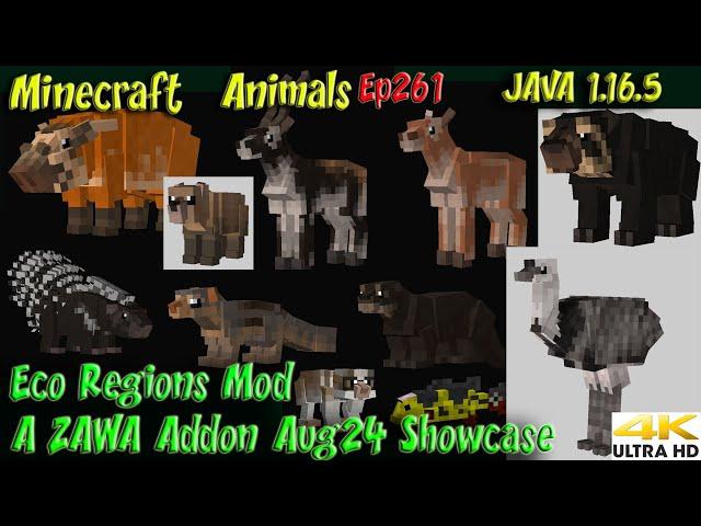 Eco Regions Mod - A ZAWA Addon Showcase Aug24 JAVA 1.16.5 Minecraft Animals Ep261