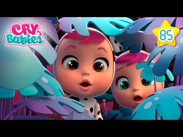 We DISCOVERED the SECRET Zone on the Island  CRY BABIES  Magic Tears | Cartoons for Kids