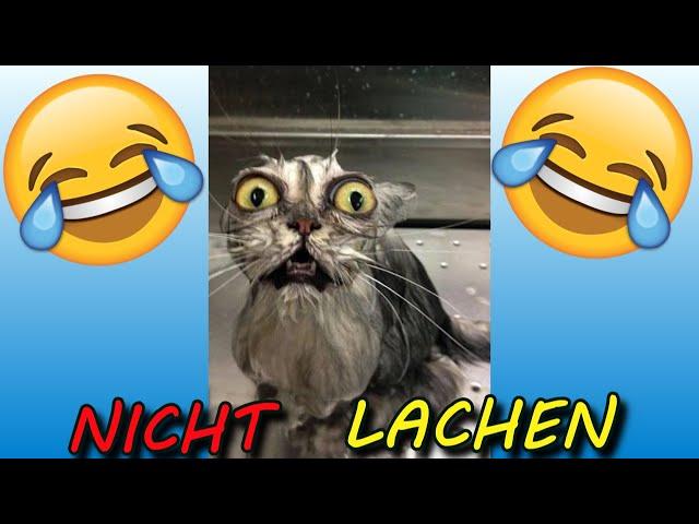 VERSUCHE NICHT ZU LACHEN !!!  #40