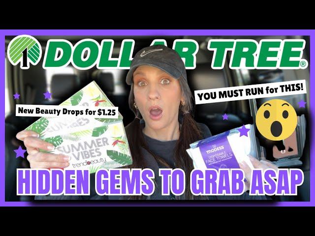 $116.02 MEGA HUGE DOLLAR TREE HAUL *I FOUND THEM!!* (I finally admit in on camera)