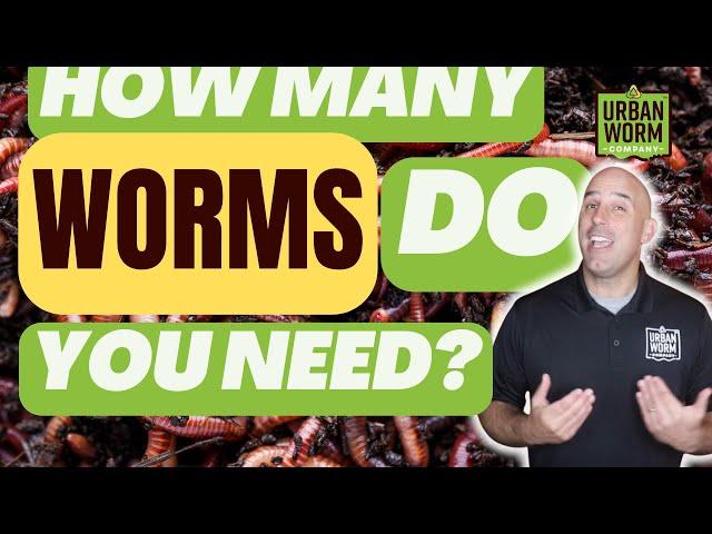 How Many Worms Do You Actually Need for Your Worm Farm?