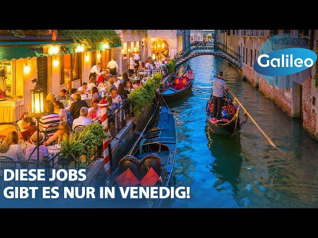 Raser-Jagd und Umzug auf dem Wasser: Diese Jobs gibt es nur in Venedig!