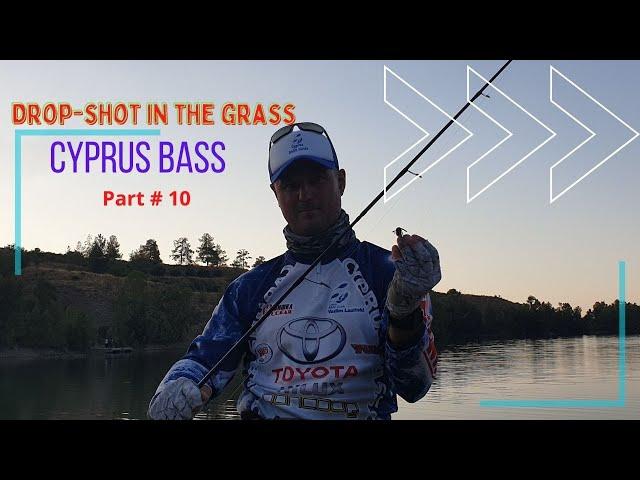 Cyprus bass fishing. Part - 9 . Drop shot in the grass