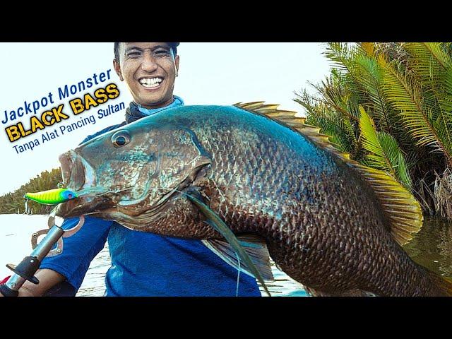 REKOR MANCING IKAN BLACK BASS TERBESAR SI MANCING di Muara Sungai Mahakam Kalimantan Timur