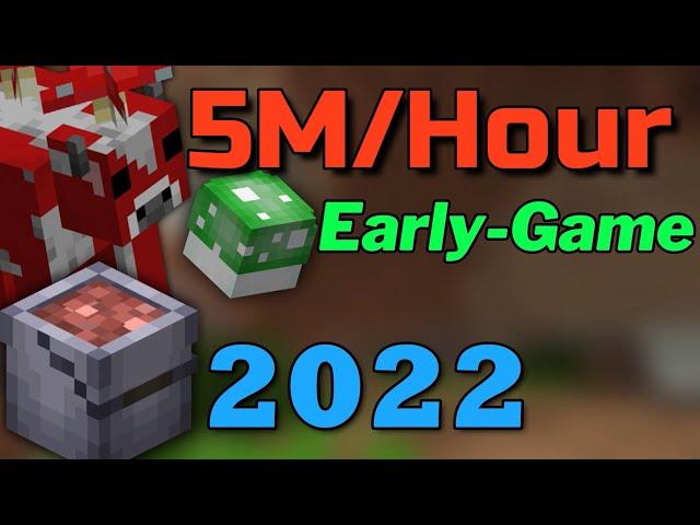 Best Early Game Money Making Method in 2022 / Hypixel SkyBlock Guide