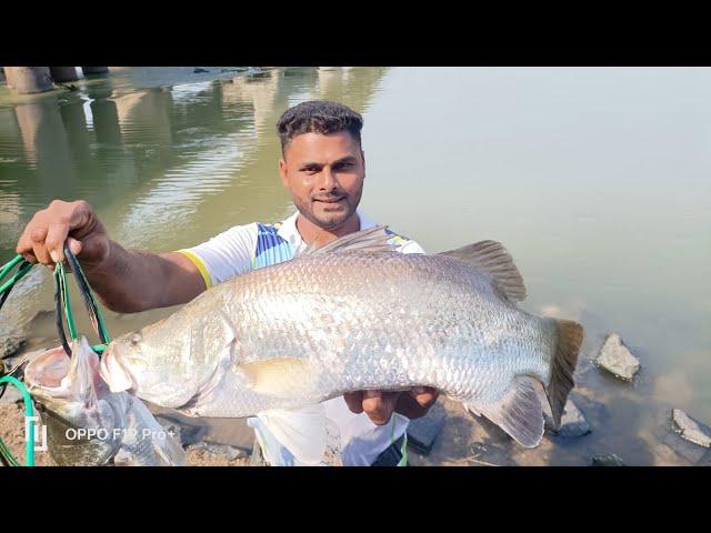 Barramundi fishing // catch Barramundi fish ko kese pakde