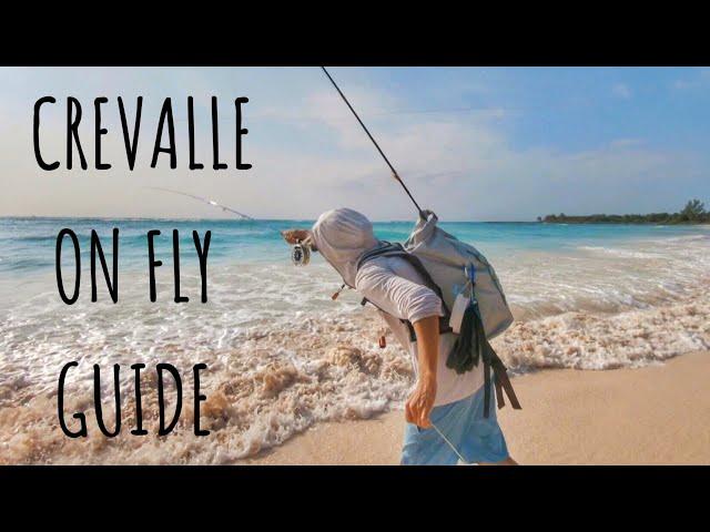 How to catch BEACH JACK CREVALLE on fly step by step.