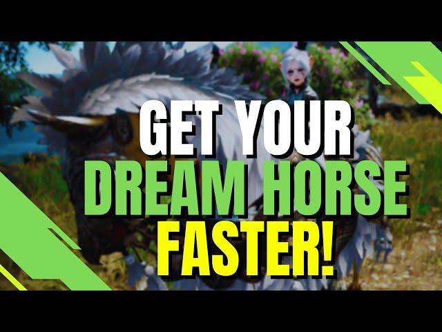 BDO Horse Training for Dummies - A Simple and Easy Guide for Newbies!