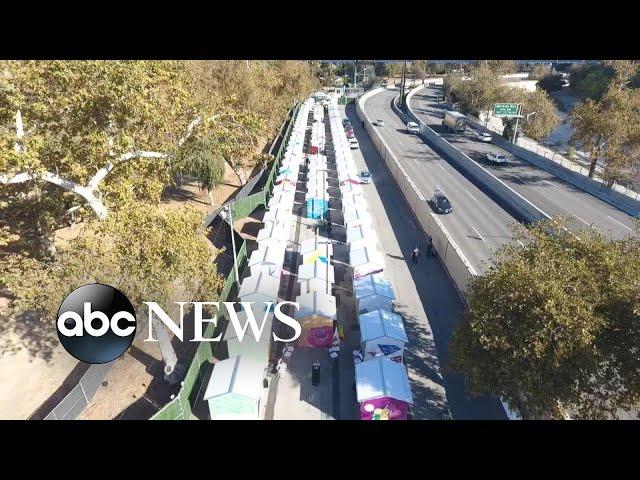 Tiny home villages pop up for LA's homeless: 'They saved my life'