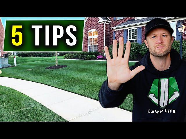 5 UNIQUE Tips - Lawn Care Tips for Beginners