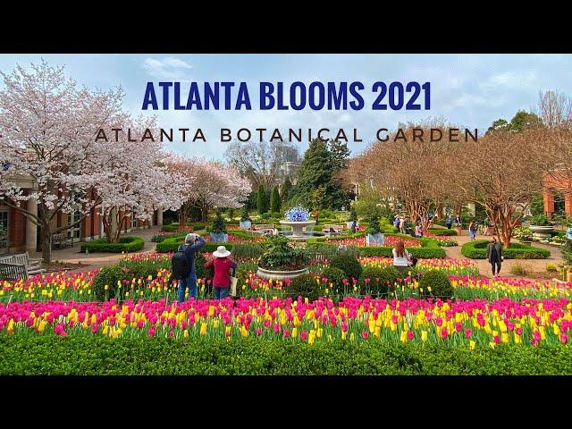 Atlanta Blooms 2021 | Atlanta Botanical Garden