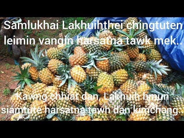 Leimin vangin Samlukhai-a Lakhuihthei chingtuten harsatna tawk mek.. Report & Videos