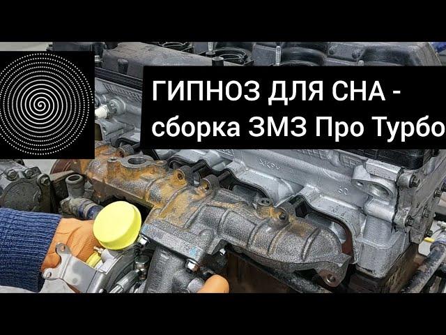 Сборка ZMZ Pro Turbo Stage 2.0 из ЗМЗ 409. Гипноз для засыпания