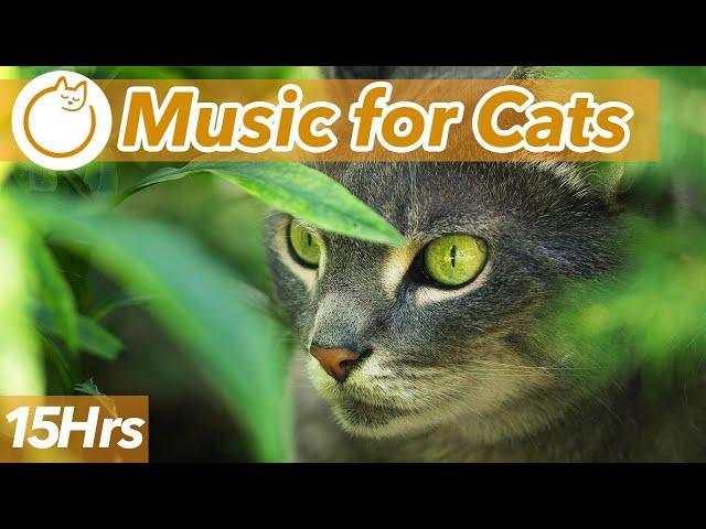 15 HOURS of AD FREE Relaxing Music for Cats  