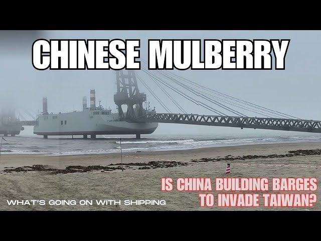 Chinese Mulberry | Is China Building Ships To Invade Taiwan? | Logistics Over the Shore (LOTS)