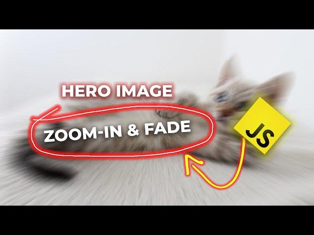 Hero Image Zoom-In and Fade Using Javascipt | Javascript Hero Image Zoom-in and Fade Effects