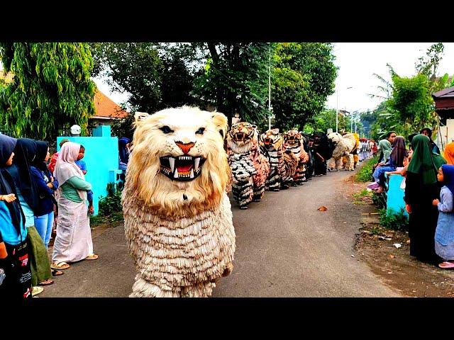 Asmr lion dance and drumband parade in the village of wonosuko