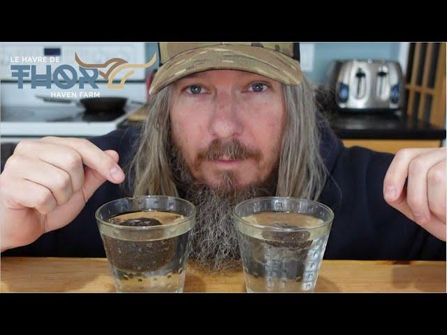 Hydrating Jiffy Peat Pellets: The Ultimate Seed Starting Hack