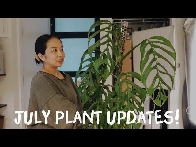 i'm back (i think?)! some fun plant updates from previous videos!