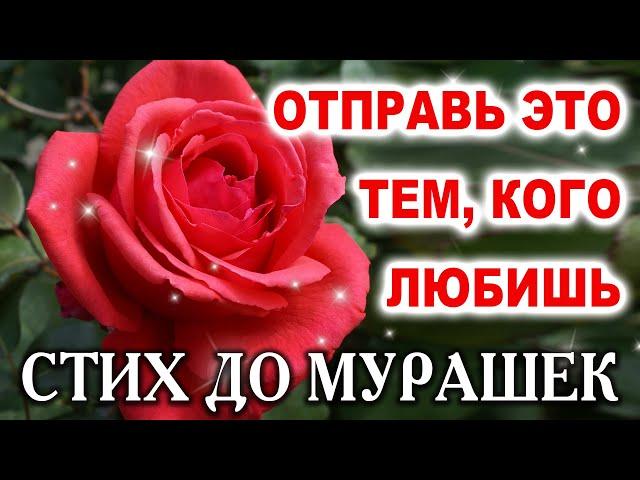 СТИХ ДО СЛЁЗ, ОЧЕНЬ ТРОГАТЕЛЬНО! ДОБРОЕ УТРО!  СТИХ ПРИТЧА О ДОБРОТЕ