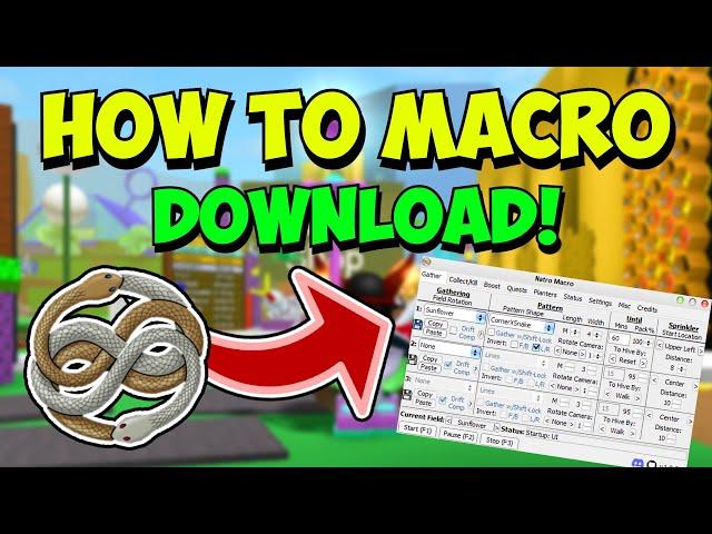 How To *MACRO* (Download TUTORIAL!) | Roblox Bee Swarm Simulator