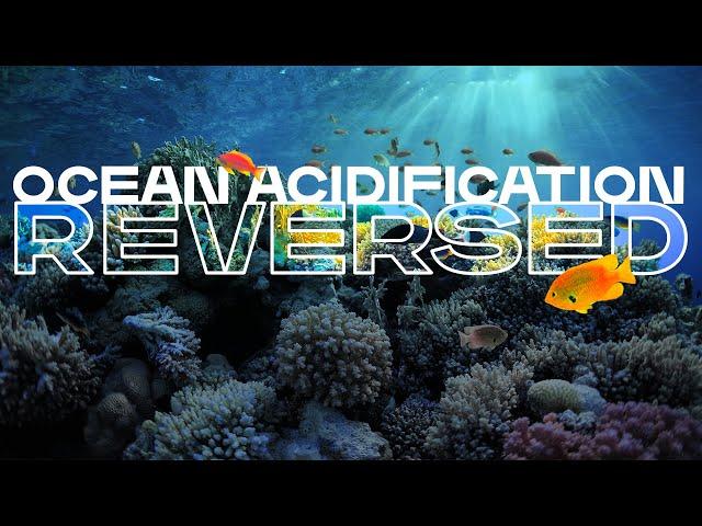 The Bold Plan to Reverse Ocean Acidification and Help the Climate Crisis