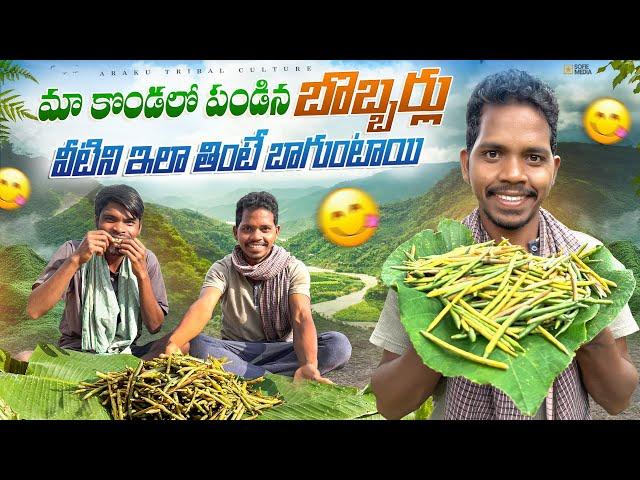 Bobbarlu : మా కొండపోడులో పండిన బొబ్బర్లు | వీటిని ఇలా తింటే చాలా బాగుంటాయ్ Araku Tribal Culture