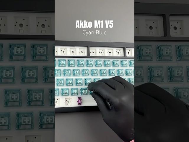 AKKO Cyan Blue..Just listen #akko #unboxing #typing #asmrsounds #4k #gaming #keyboard