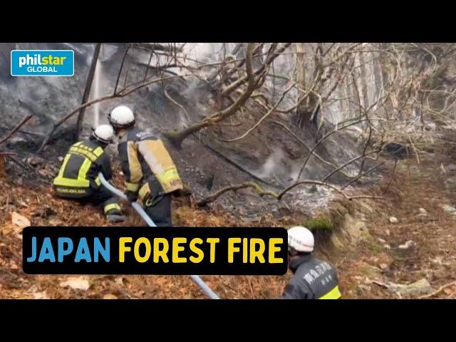 Japan firefighters battle forest blaze in Iwate