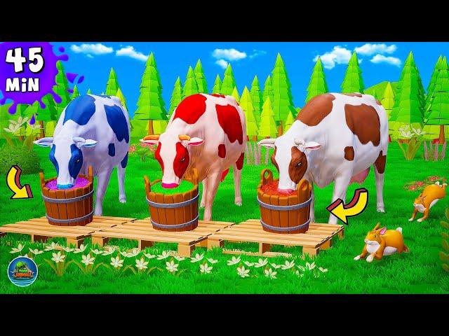 Color Cows - Wild and Playful - Fam Animals Crazy Games and Surprising Attacks Compilation | Funny