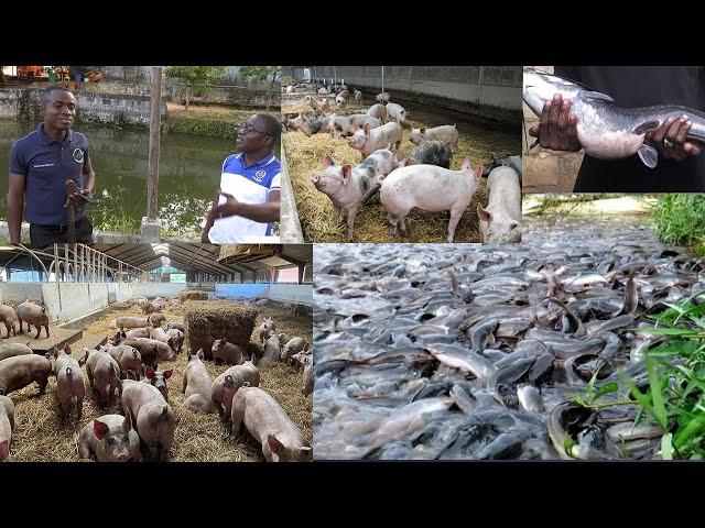 THE YOUNGEST PIG FARMER IN GHANA: LEONARD NANA OMARI - CEO OF EDEN TUROM FARMS & A MEMBER OF CoP