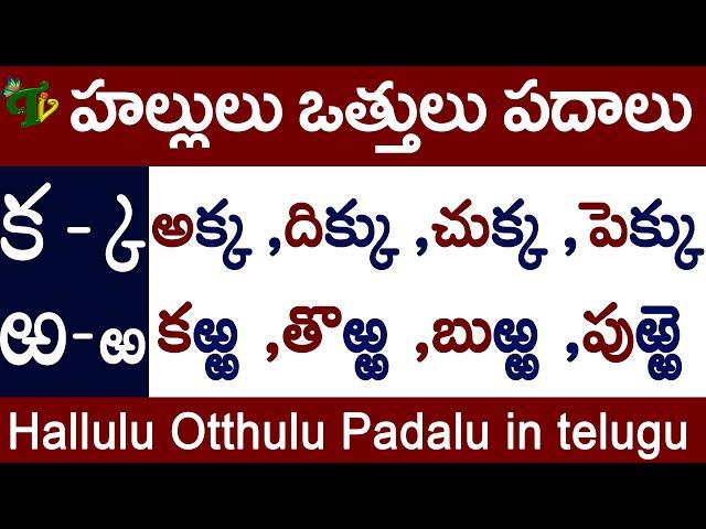 క to ఱ Ka to Rra full Hallulu Otthulu Padalu | హల్లులు-వత్తులు-పదాలు #halluluvattupadalu in telugu