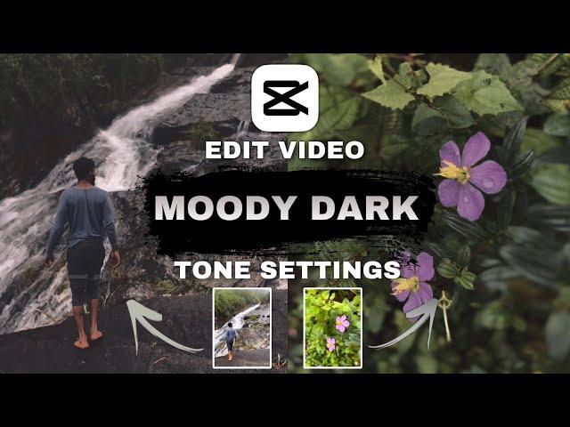 MOODY DARK TONE CAPCUT | EDIT VIDEO AESTHETIC | Moody Film CapCut Filter | CapCut Editing Tutorial