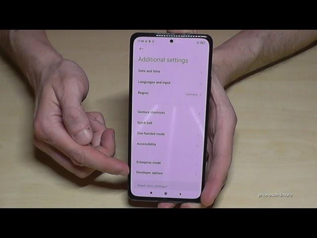 Xiaomi Mi 11i: How to enable and disable the Developer Options?