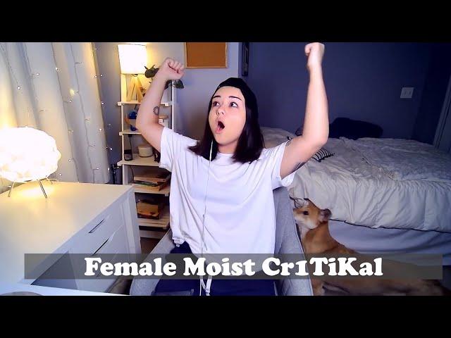 All Moist Critical "Yeah Baby!" variants (40+ clips)